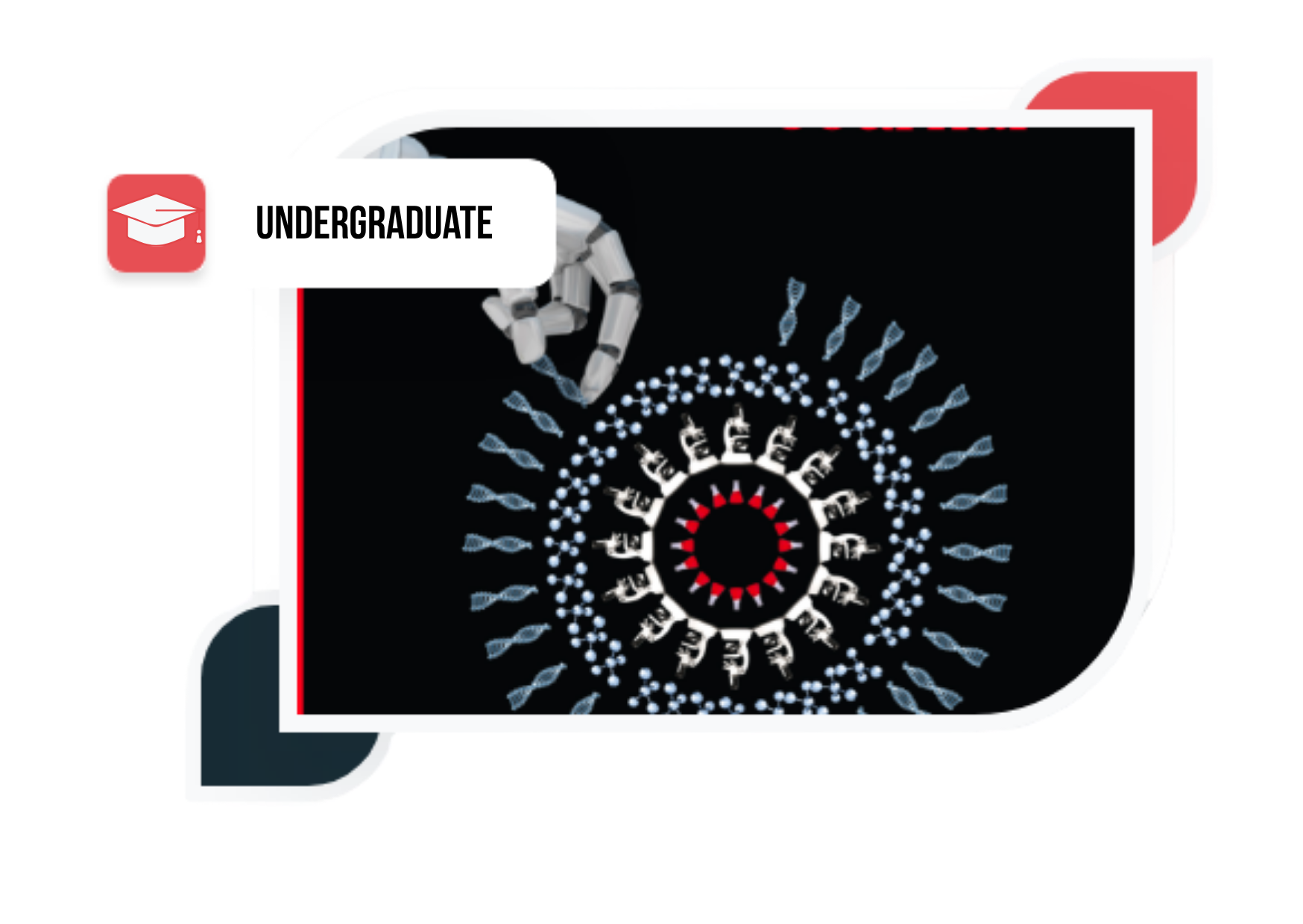 Program Level Image Grad Underg Undergraduate training